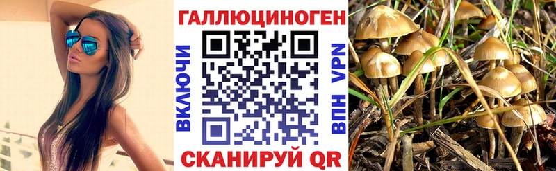 мега маркетплейс  Дзержинск  Псилоцибиновые грибы Magic Shrooms 