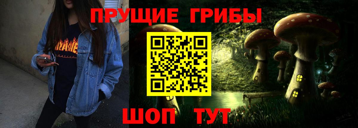 где купить   Вход с VPN  Дзержинск  Галлюциногенные грибы MAGIC MUSHROOMS 