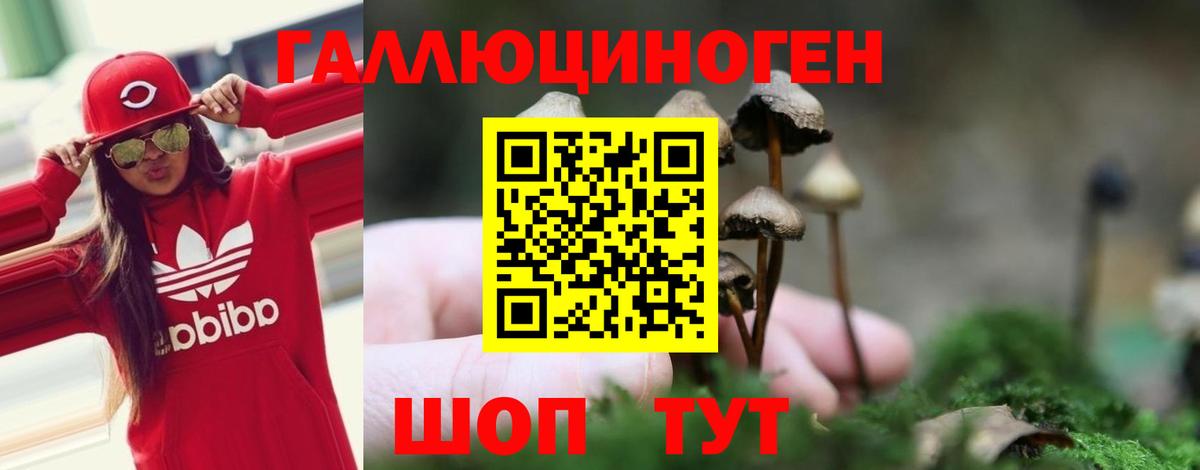 Галлюциногенные грибы MAGIC MUSHROOMS Дзержинск